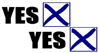 Image result for survey vote yes