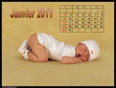 Calendar Babies