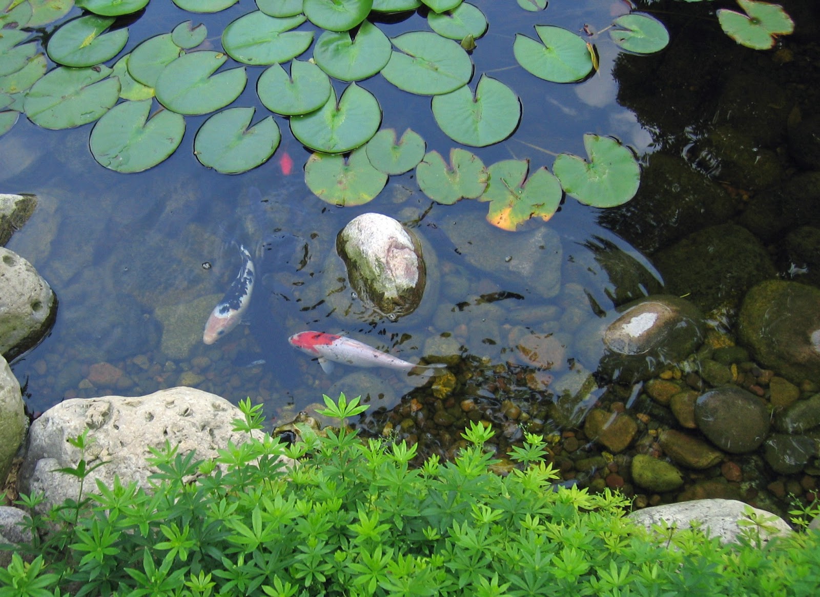 Just*Grand: A Glorious Garden