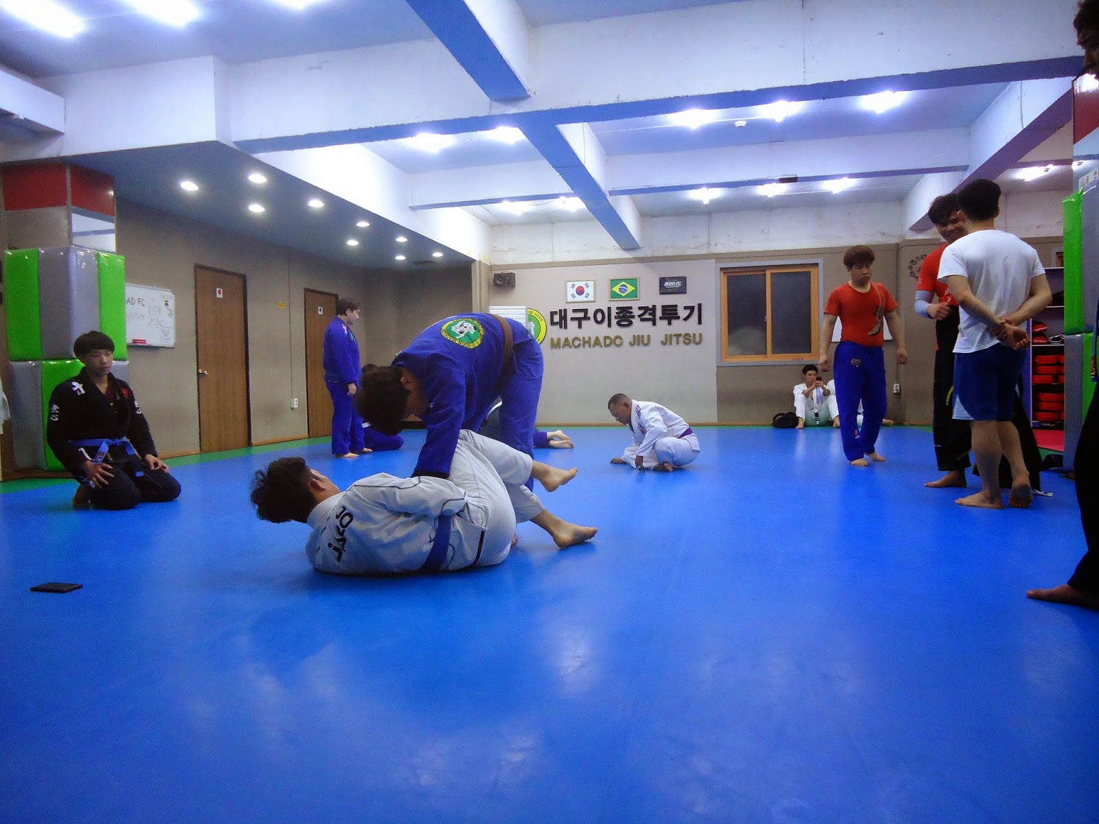Rolling Through The World Jiu Jitsu in Korea first impressions