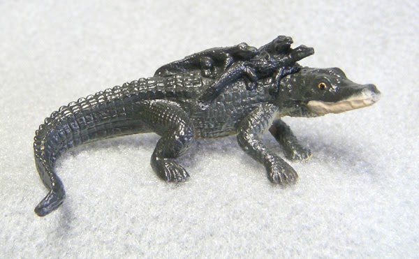 real stuffed baby alligator
