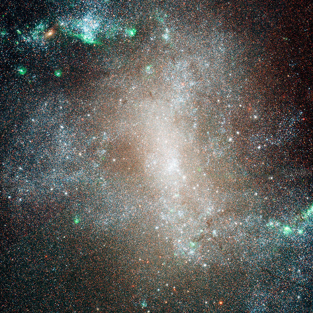 The Central Region of the Barred Spiral Galaxy NGC 1313