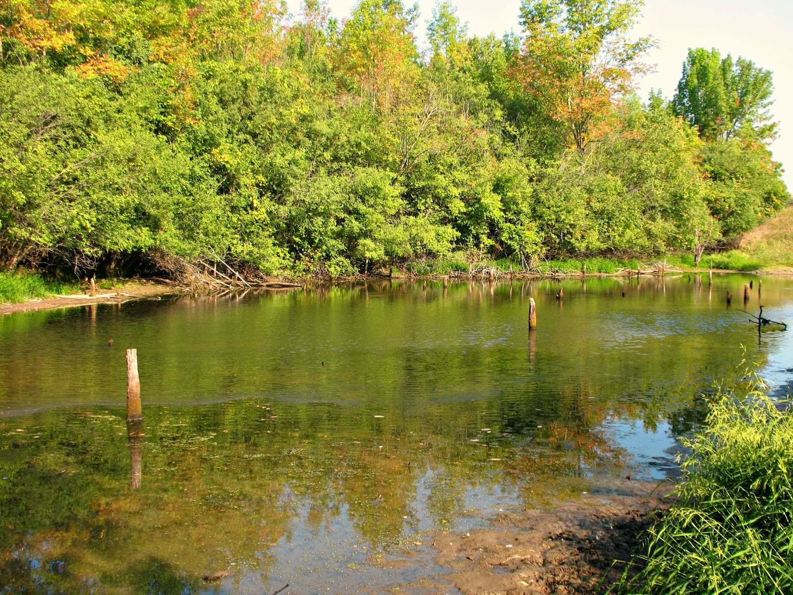 Dundas Valley Outdoors Spring Creek Sawmill Trail Loop