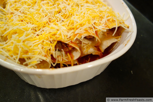 http://www.farmfreshfeasts.com/2013/03/zucchini-refried-bean-corn-enchiladas.html