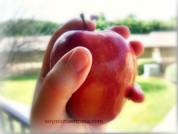 manzanas y sus propiedades nutricionales apples