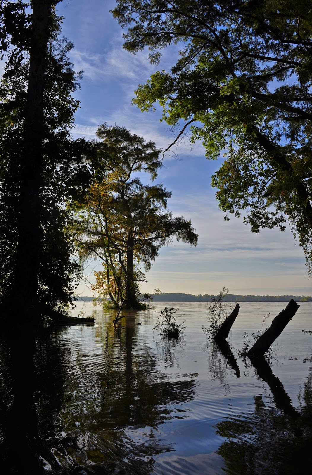A Tidewater Paddler James River Herring Creek 9/14/14