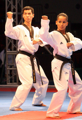 Taekwondo technics
