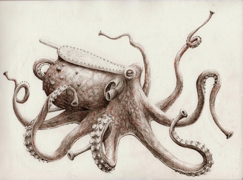 10-Octopus-Bellows-Redmer-Hoekstra-Surreal-Animals-Ink-Drawings-www-designstack-co