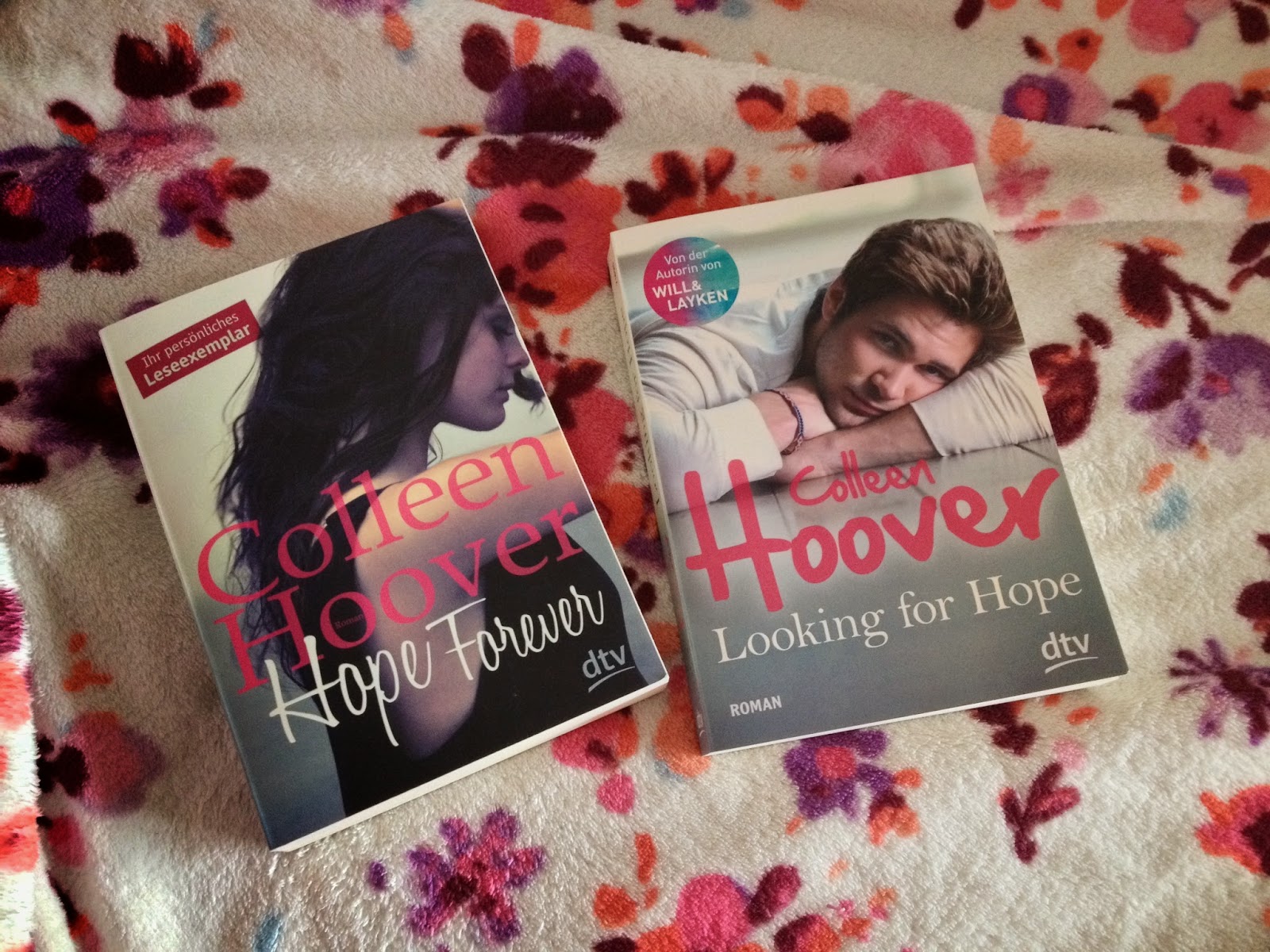 Der Romantische Mondgarten 2015