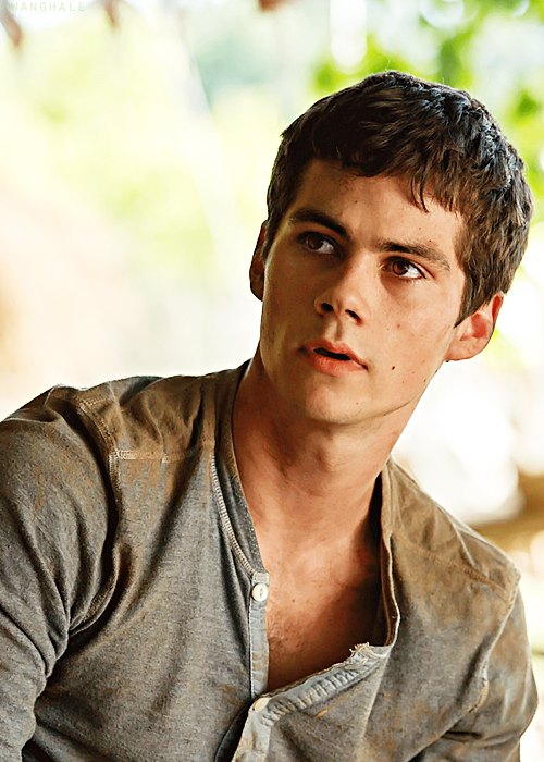 Dylan O'Brien Stars In 'The Maze Runner' Watch The Trailer!