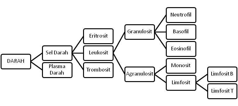 BIOLOGY LEARNING CENTER DARAH