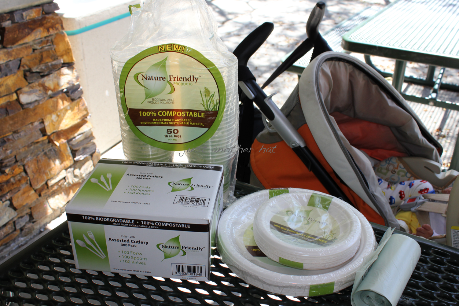 Just Another Hat Green Paper™ Products Green Party Ware Pack Review (Celebrate the Earth)