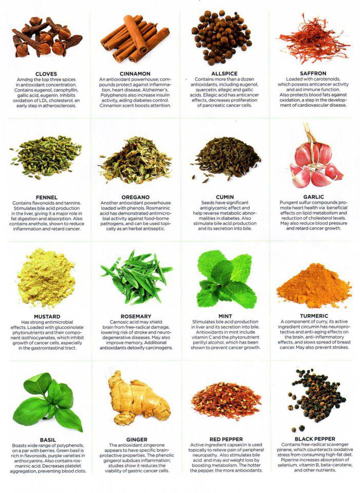 Our Kosher Kitchen Benefits of Fruits, Veggies, Herbs and Spices Chart