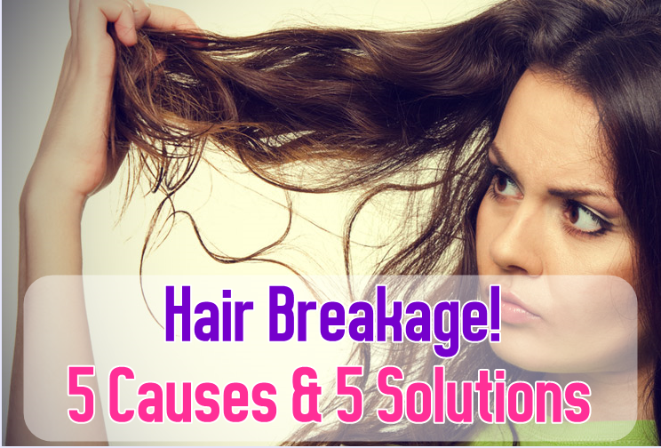 5 Causes and 5 Solutions for Hair Breakage DIY Craft Projects