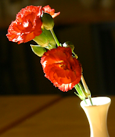 Red Carnation: Custom of Wearing one if Mother Is Living