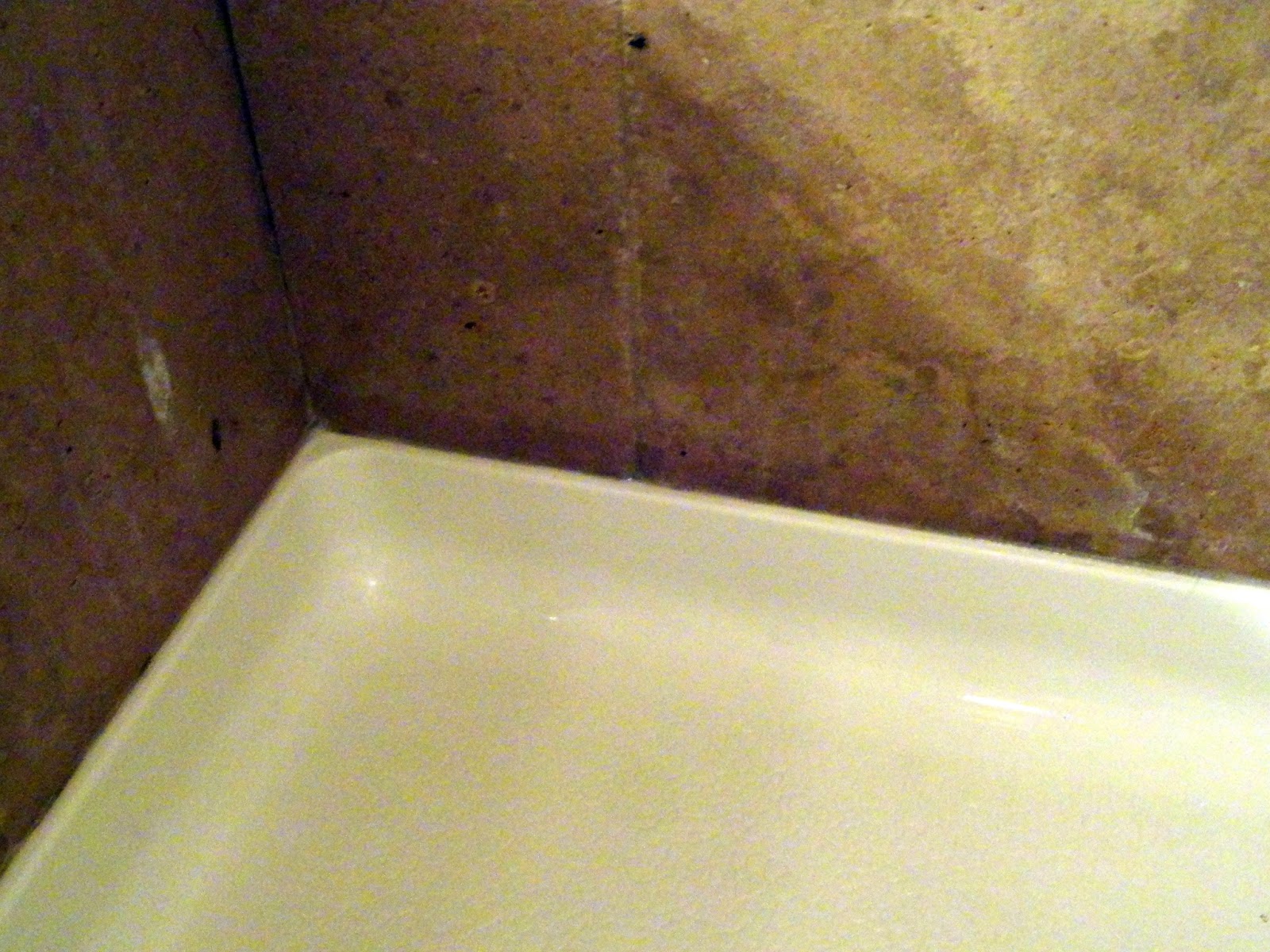 Getting rid of mold in your shower Rachel Teodoro