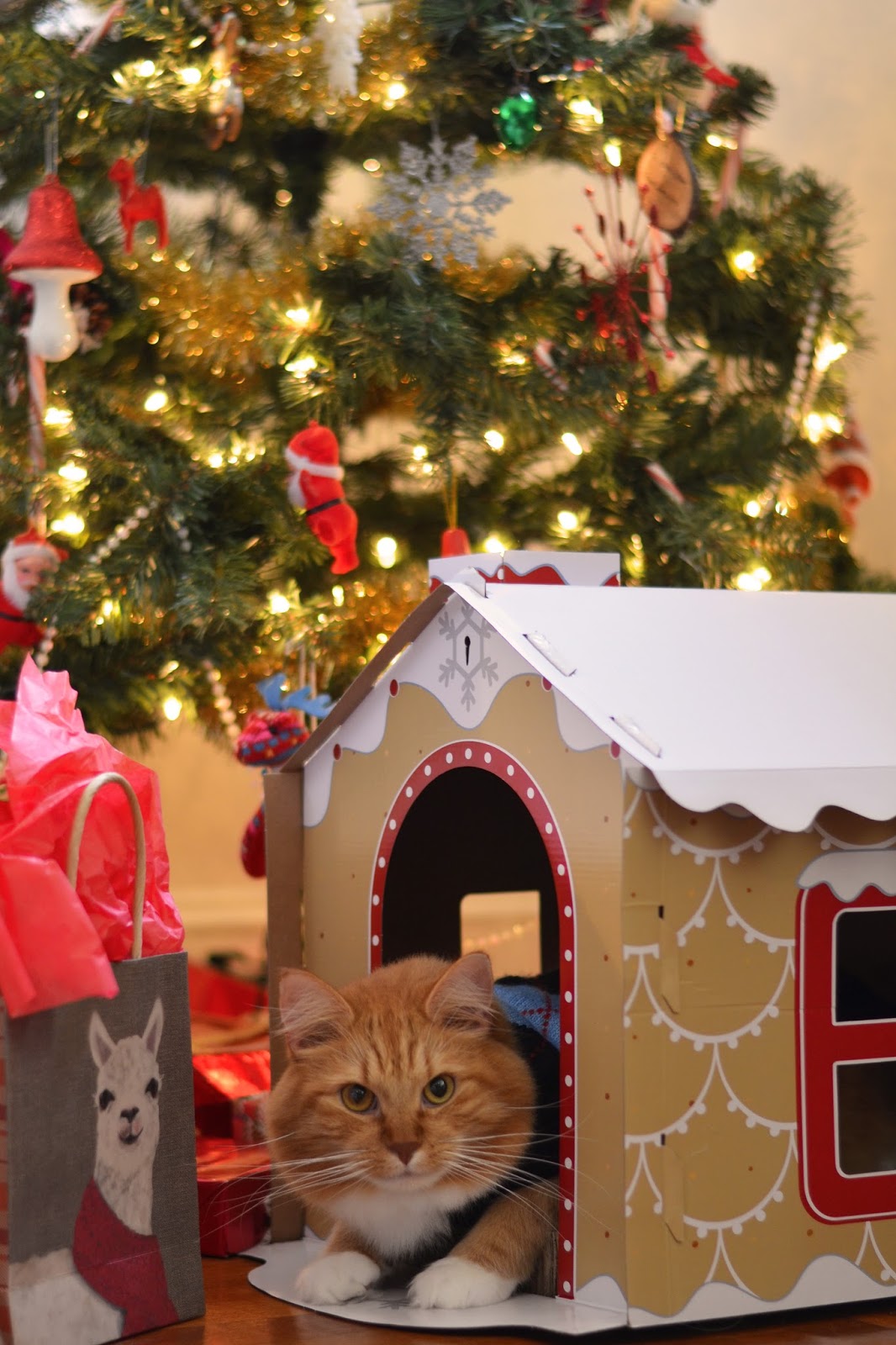 They have so much fun running in and out of it, and knocking it over!