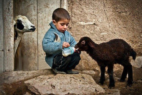 Merhamet DUALAR HAZİNESİ