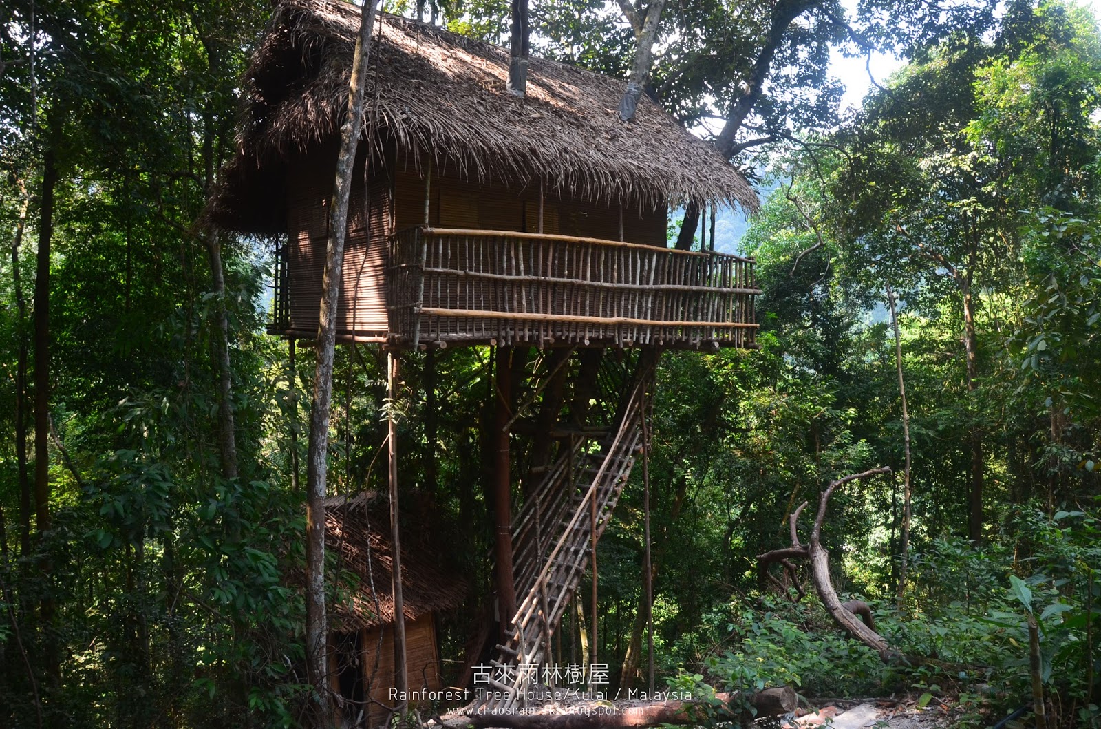 古來普萊山熱帶雨林 承載夢想的夢幻樹屋村落 Rainforest Treehouse Gunung Pulai, Kulai