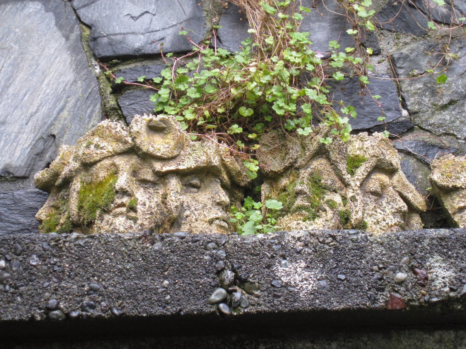 LaVera's Garden