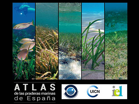 Atlas de praderas marinas de España