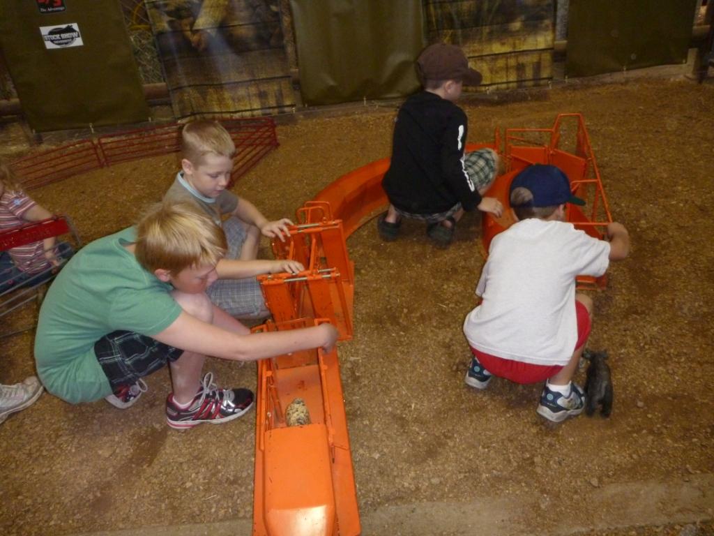 Savor The Days Riding the DART train to the Texas State Fair