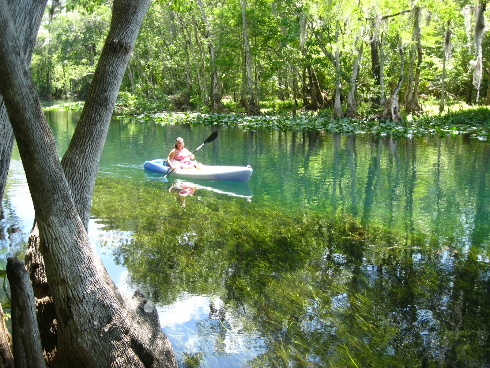 Central Florida Kayak Tours A day on the Silver River, Kayaking near
