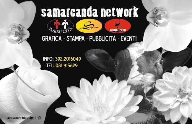 samarcanda network