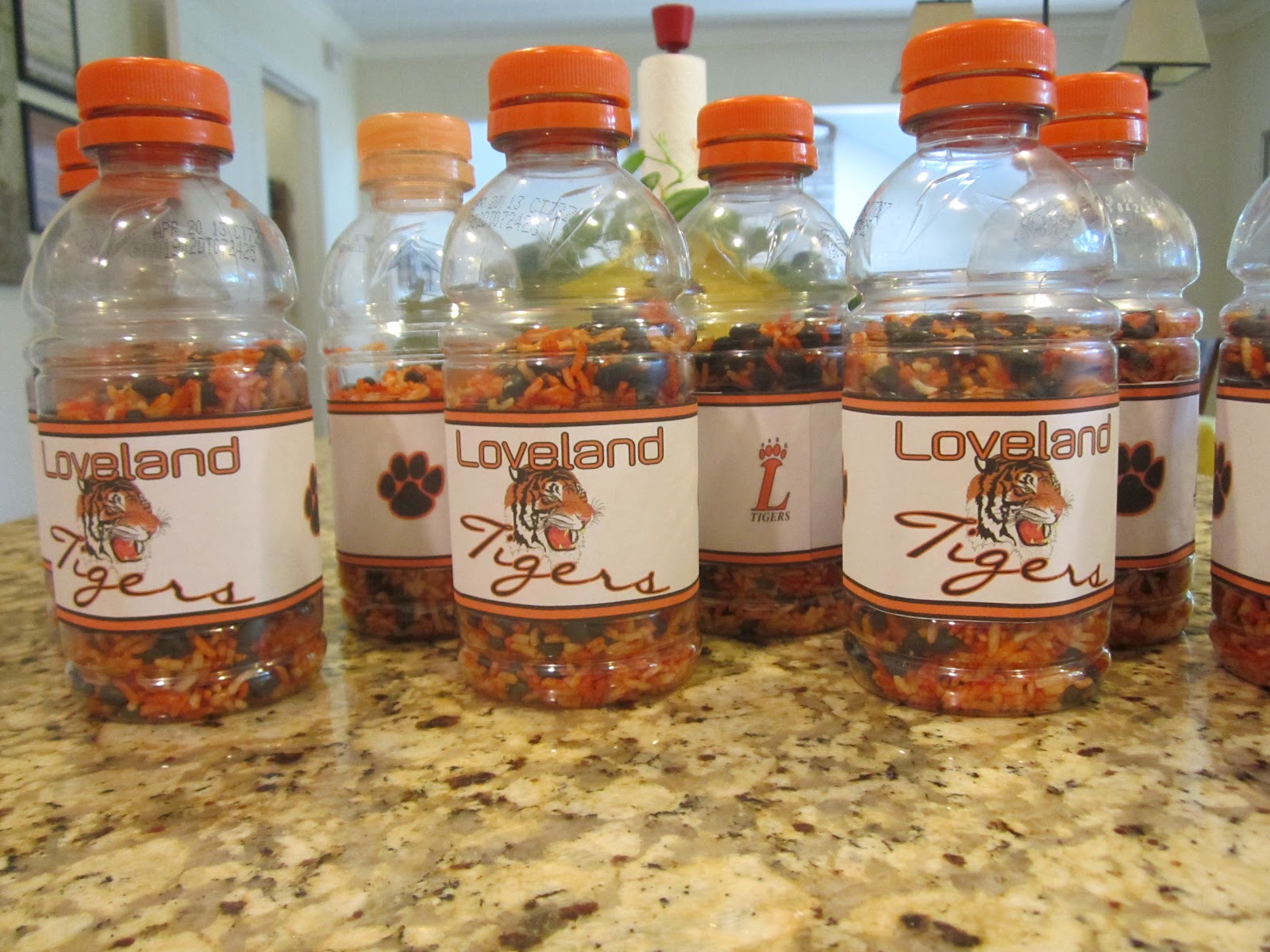 Gael's Crafty Treasures Team Spirit Bottle Noise Makers