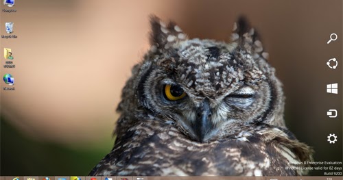 Ouo Themes: Owl Theme For Windows 7 And 8