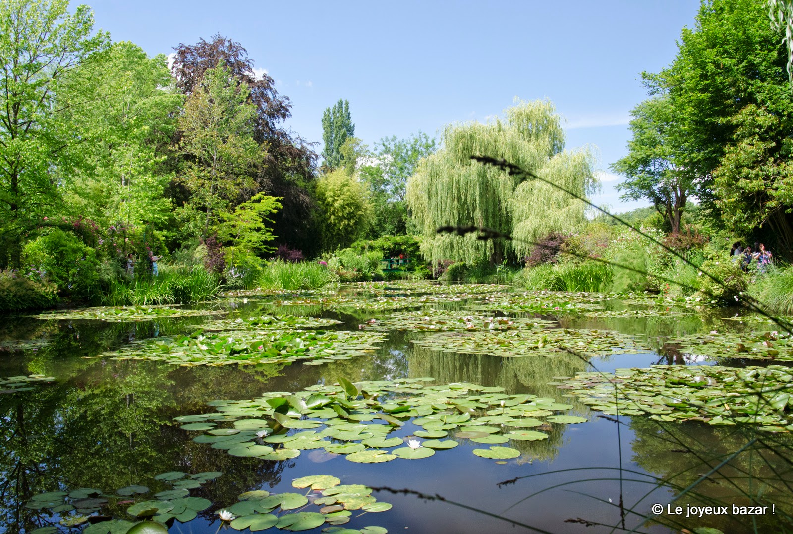 Giverny - Monet -  jardin d'eau - nympheas
