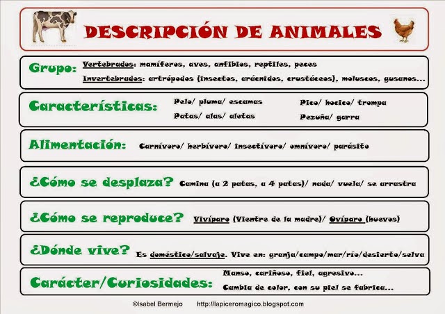 preguntas interesantes para fisica las cuatro letras interesantes esquemas para aprender a preguntas interesantes para fisica las cuatro letras interesantes esquemas para aprender a