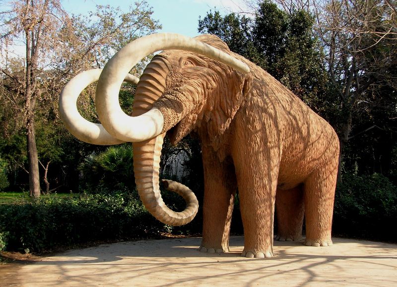 De http://eljovepaleontoleg.blogspot.com.es/2013/02/ultimes-noticies-sobre-linvestigacio.html