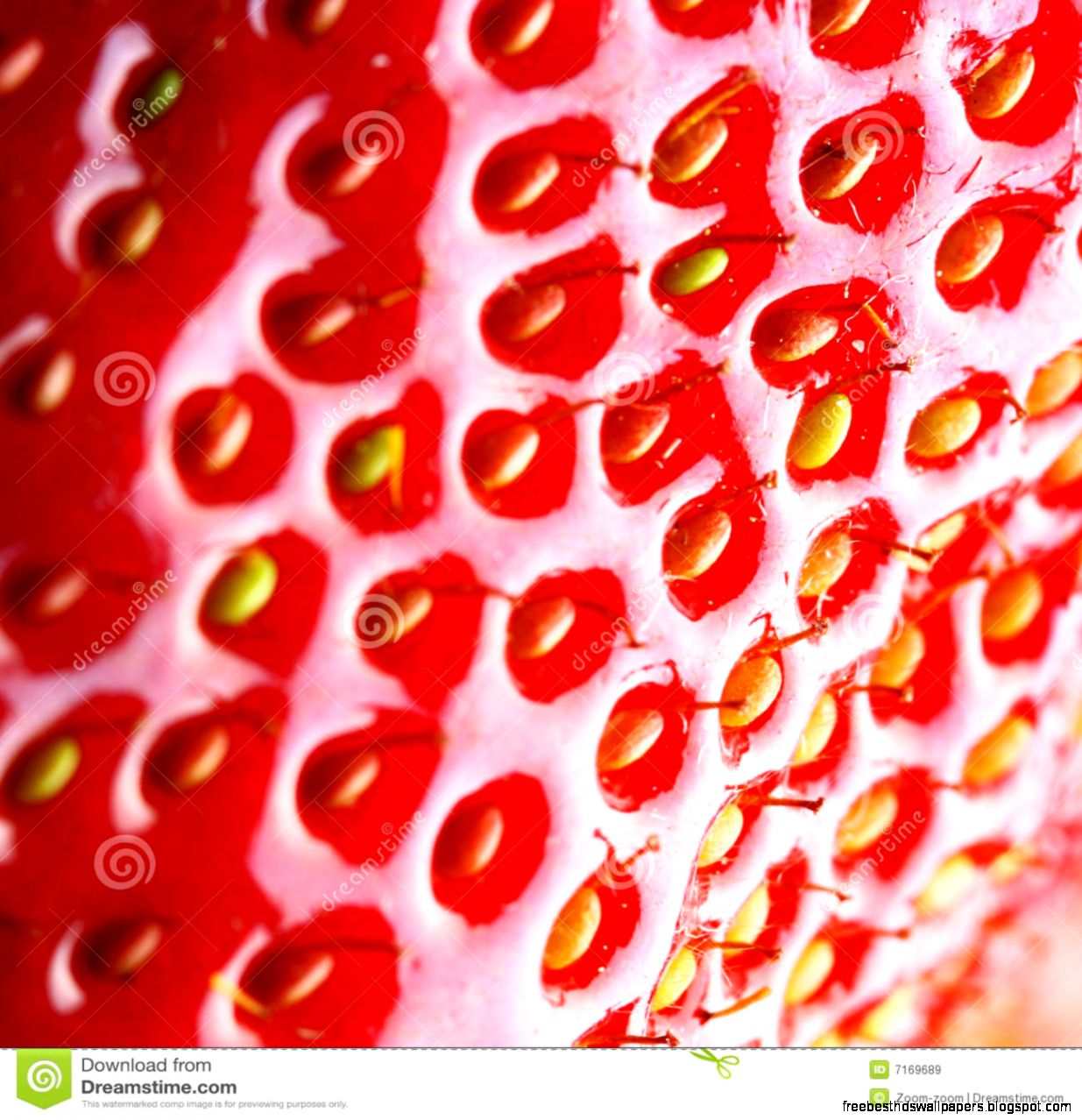Strawberry Macro Royalty Free Stock Images Image 7169689 Strawberry Macro Royalty Free Stock Images Image 7169689