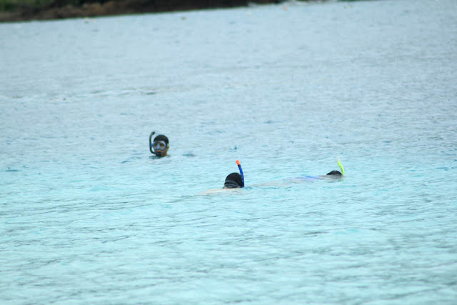 Wisata Dolphin, Teluk Kiluan Lampung KASKUS