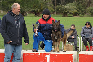 SIEGER 2012 SHICO DE LA SENDA