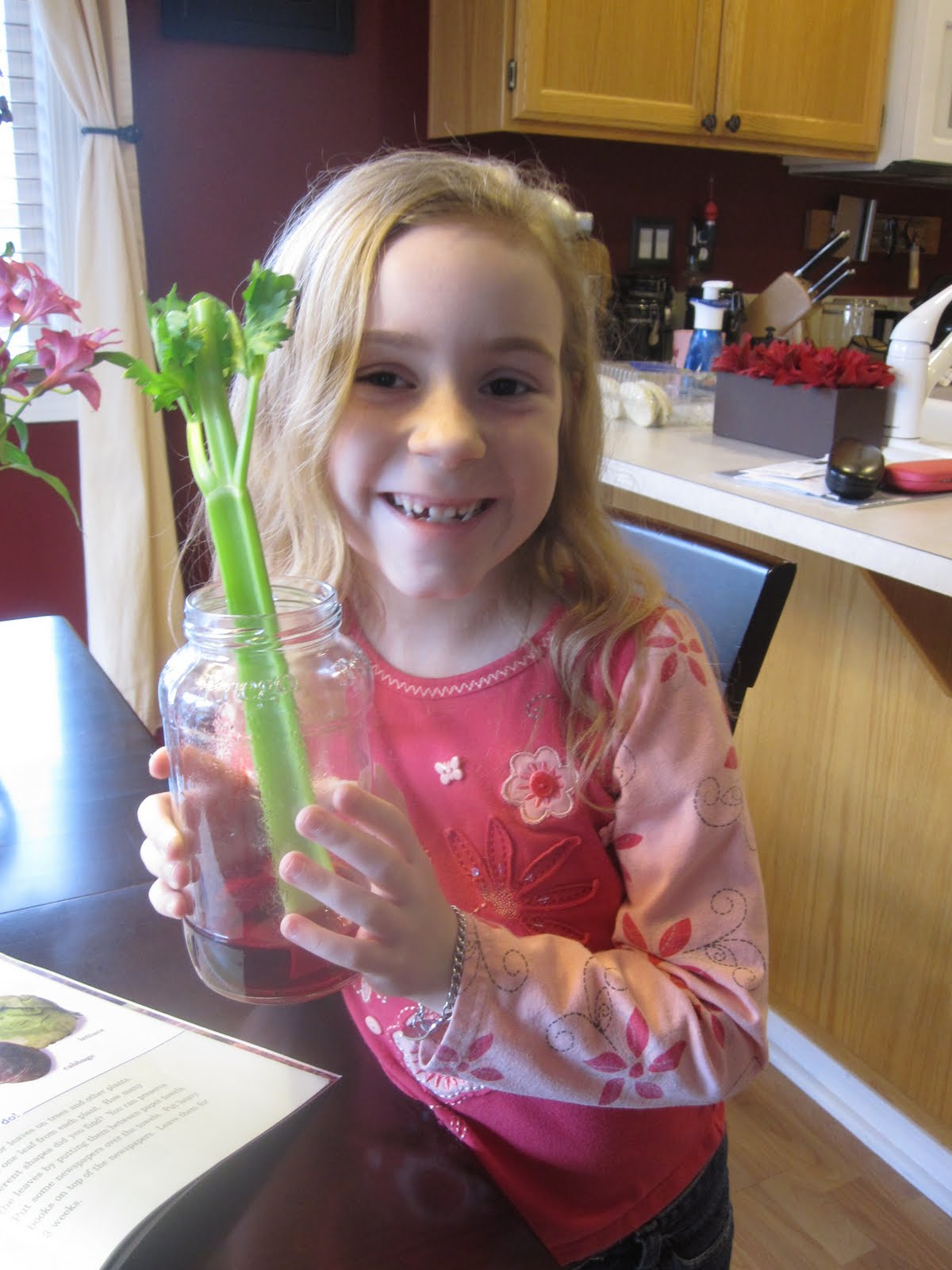 The Homeschooling Celery Science Experiment. Catz at Home