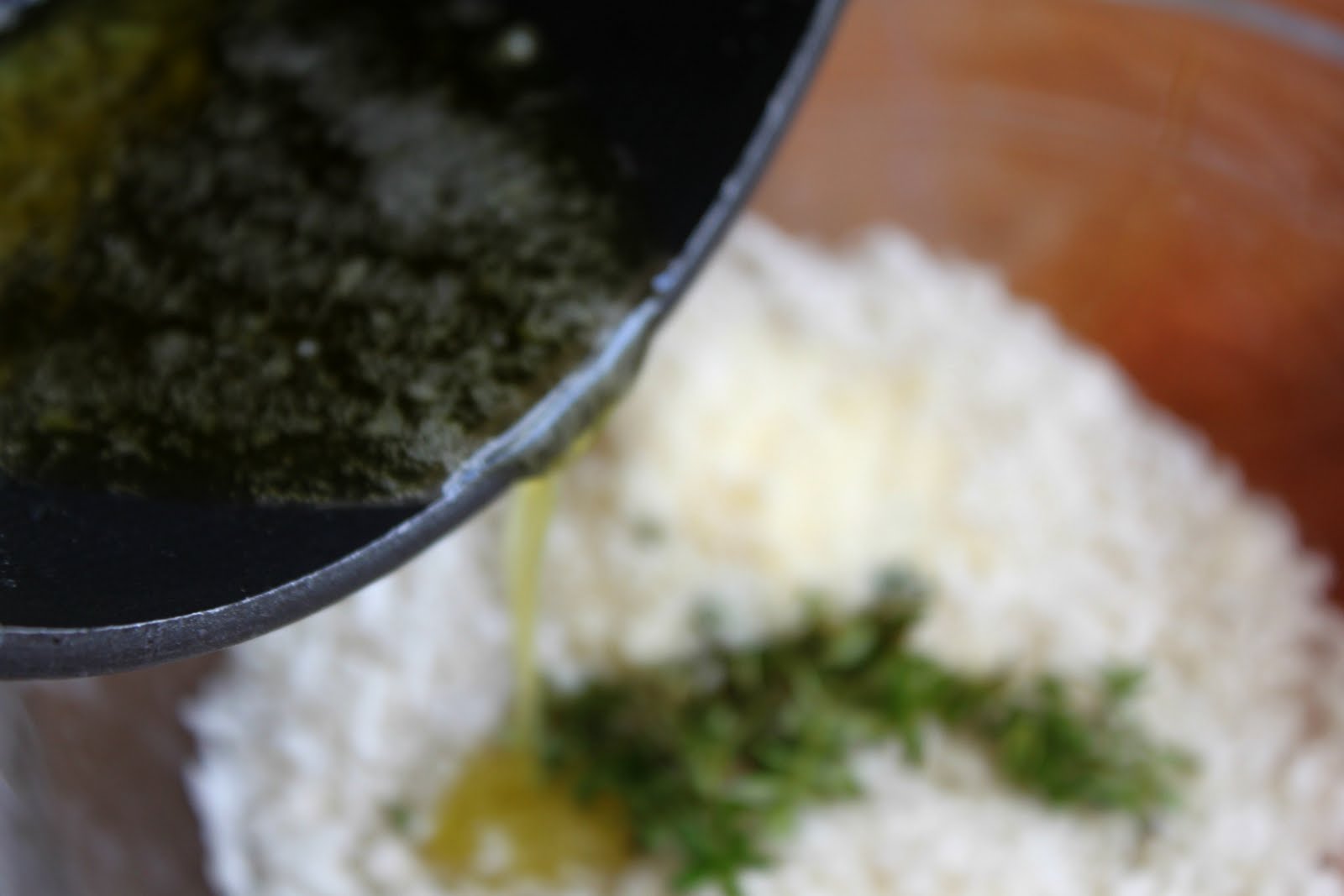 Herb and PankoStuffed Broiled Tomatoes A Feast For The Eyes