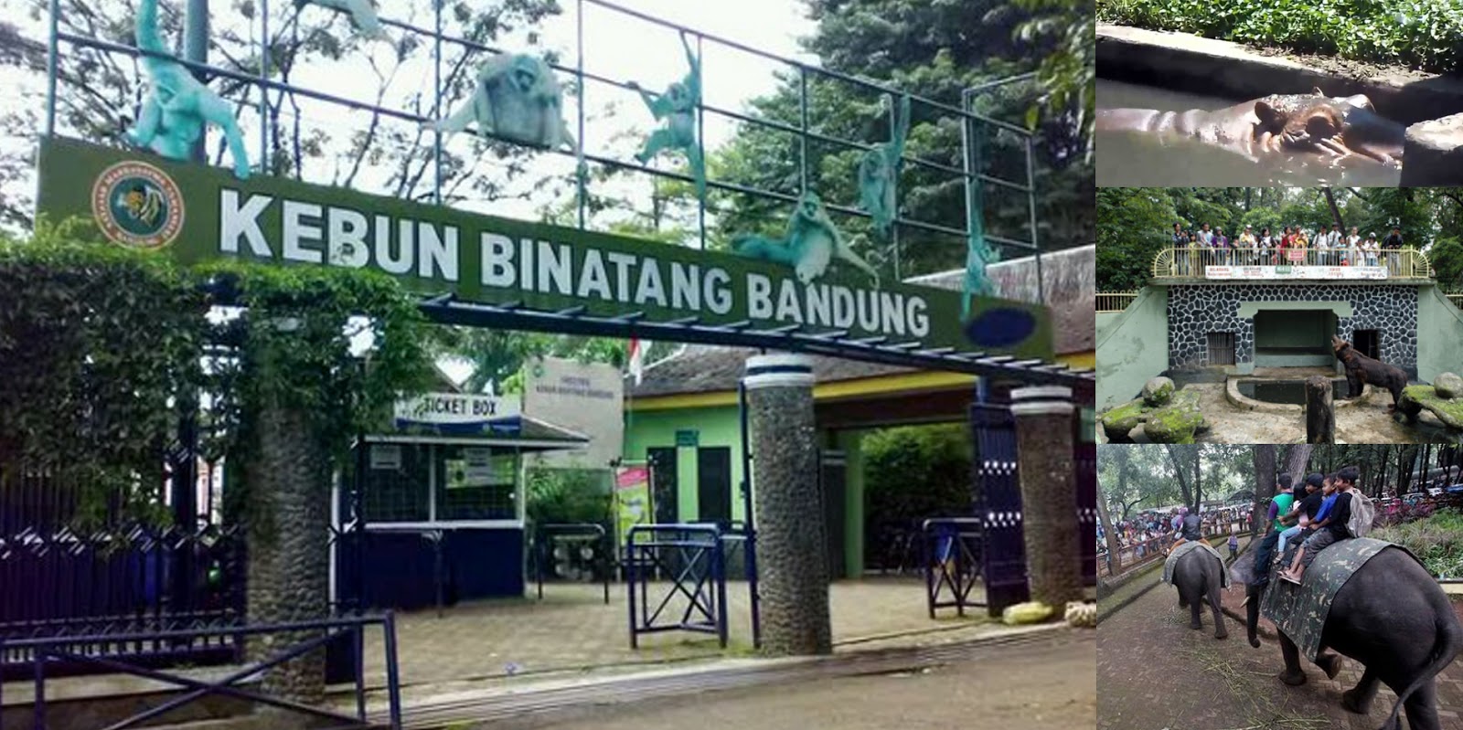 Kebun Binatang Bandung, Wisata Pendidikan dan Hiburan di