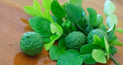 manfaat buah jeruk purut,jeruk purut untuk wajah,kesehatan,untuk ,khasiat daun jeruk purut,kandungan daun jeruk purut, manfaat buah jeruk purut,jeruk purut untuk wajah,kesehatan,untuk ,khasiat daun jeruk purut,kandungan daun jeruk purut,