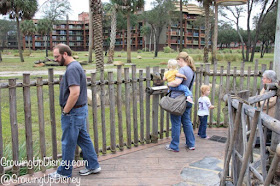 family at Disney's Animal Kingdom Lodge