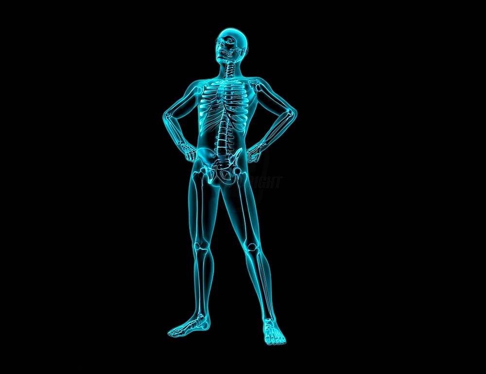 Anatomy and physiology homework help