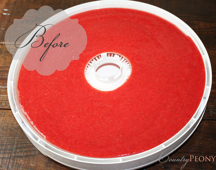 Country Peony Homemade Fruit Strips