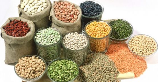 fitguzellik Kasım 2015