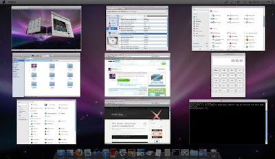 Macbuntu Compiz Scale like Mac OS X's Expose All Windows