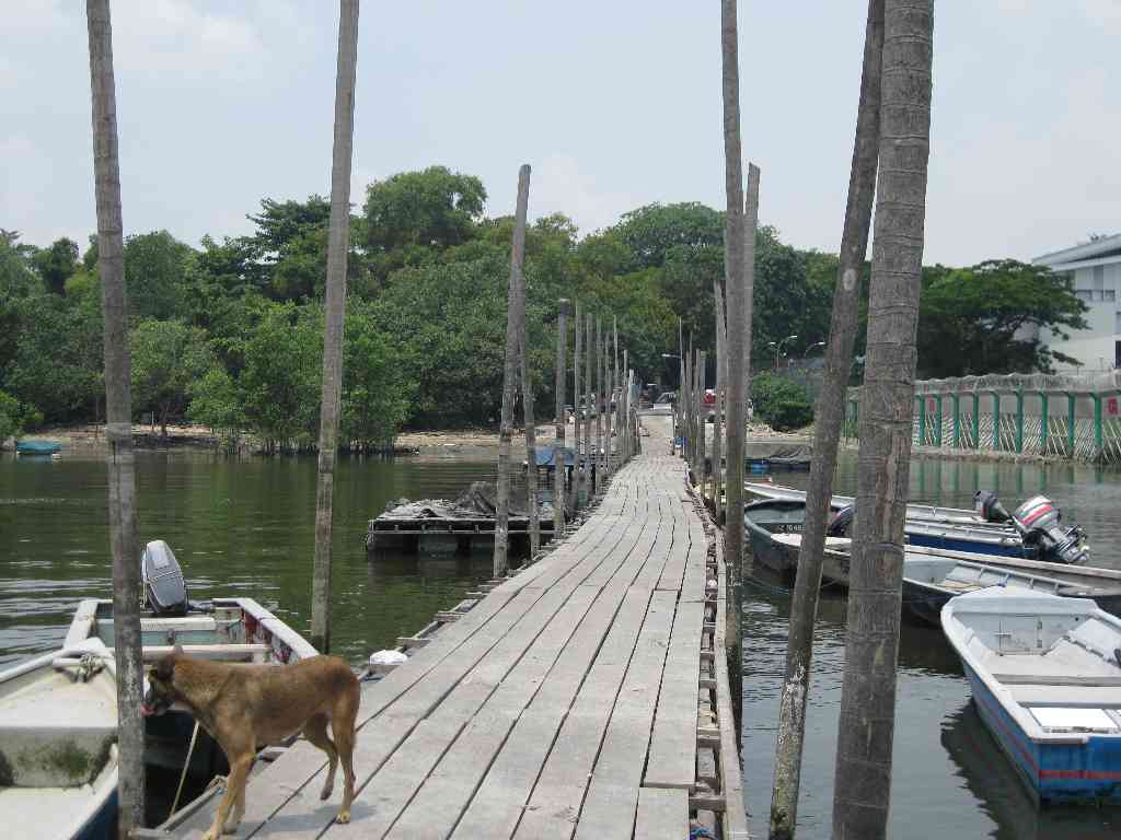 Singapore Walking Routes Lim Chu Kang Farms