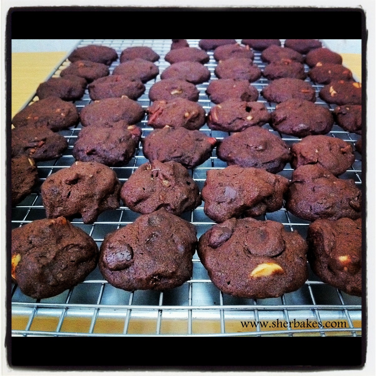 double chocolate chip cookies with pecans and macadamia