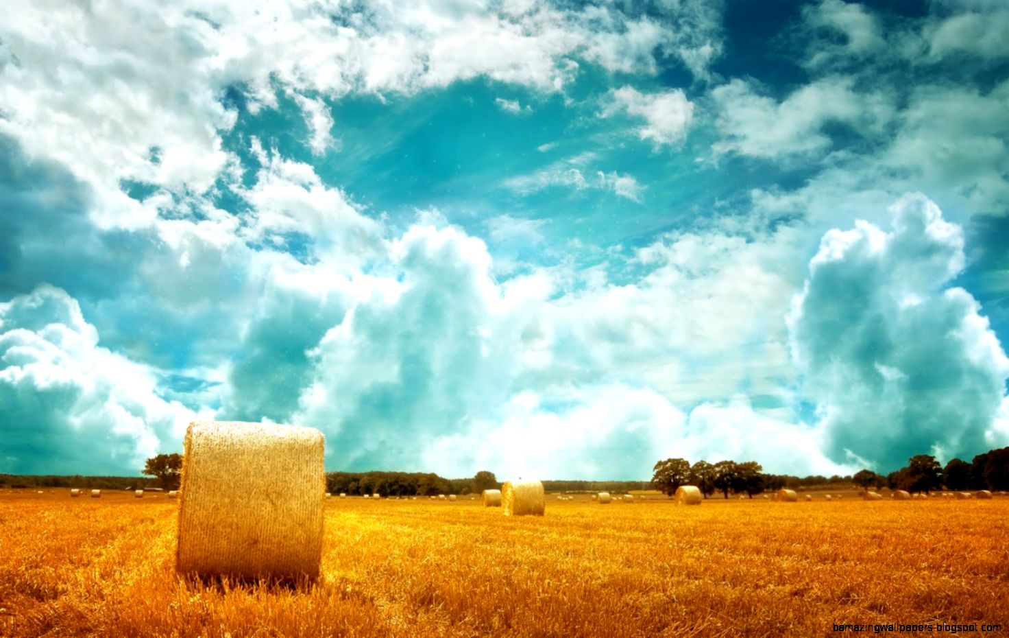 18824 Mac Nature High Resolution Wallpaper 18824 Mac Nature High Resolution Wallpaper