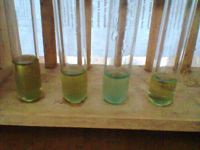 ILhanhy Trombosit Uji Urine ILhanhy Trombosit Uji Urine