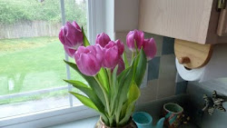 Purple tulips